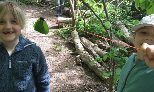 News » Zip Line for an Insect